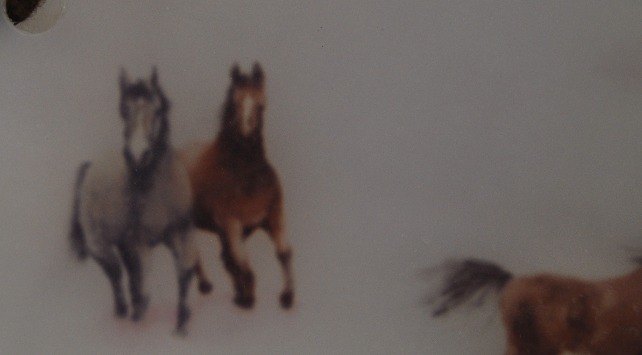 Horses (B2)